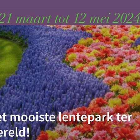 Lodge Noordwijk Zewnętrze zdjęcie