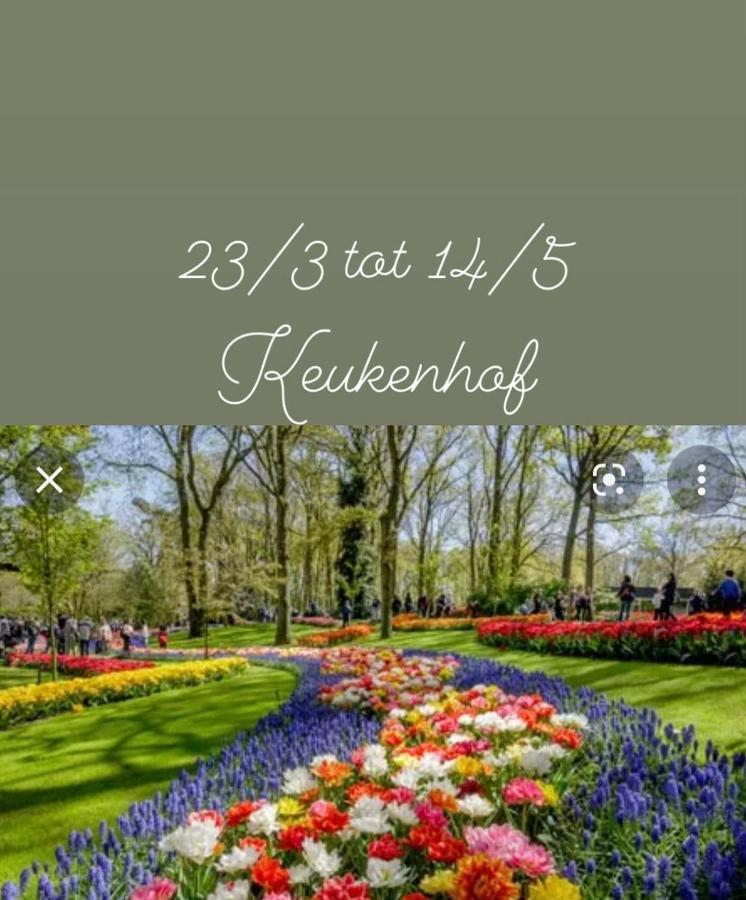 Lodge Noordwijk Zewnętrze zdjęcie