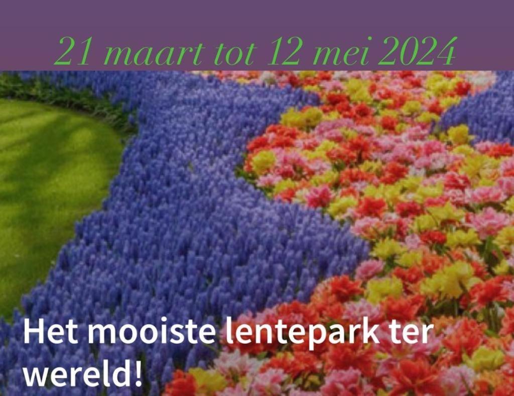 Lodge Noordwijk Zewnętrze zdjęcie